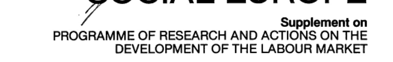 Programme of Research and Actions on the Development of the Labour Market Studies During 1981-83 : a Personal View