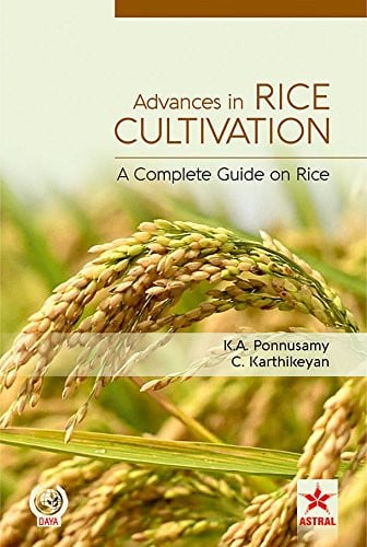 Advances in Rice Cultivation A Complete Guide on Rice