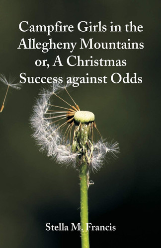Campfire Girls in the Allegheny Mountains A Christmas Success Against Odds