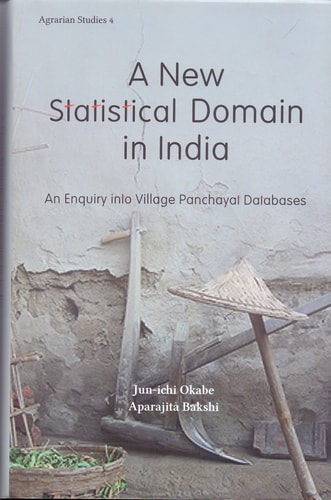 A New Statistical Domain in India An Enquiry Into Village Panchayat Databases