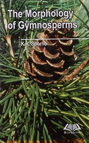 Morphology of Gymnosperms