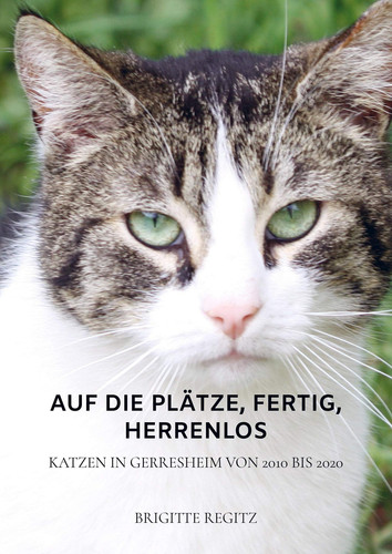 Auf die Plätze, fertig, herrenlos Katzen in Gerresheim von 2010 bis 2020