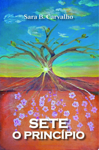 Sete O Princípio