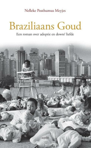 Braziliaans goud een roman over adoptie en down/liefde