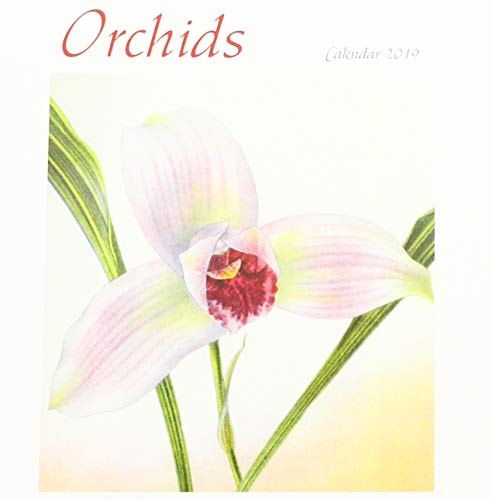Orchids 2019 Calendar (Flora Fauna)