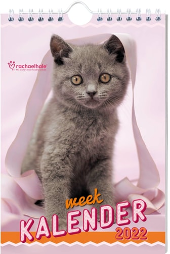Rachael Hale katten weekkalender - 2022