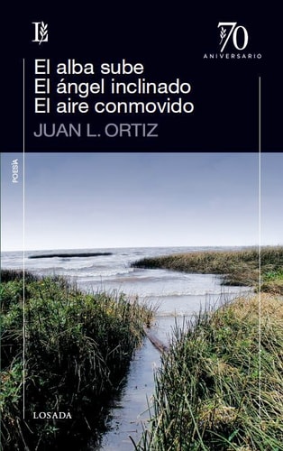 El alba sube. El ángel inclinado. El aire conmovido
