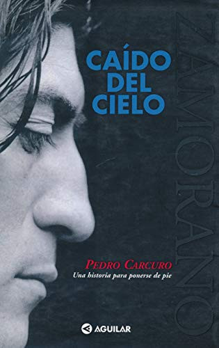 Zamorano caído del cielo : una historia para ponerse de pie