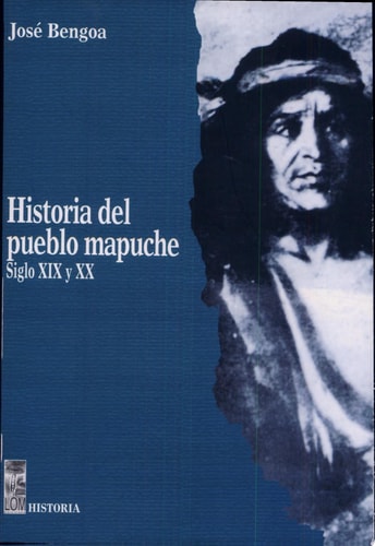 Historia del pueblo mapuche (siglo XIX y XX)