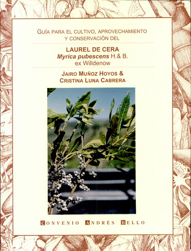Guía para el cultivo, aprovechamiento y conservación del laurel de cera, Myrica pubescens H. & B. ex Willdenow