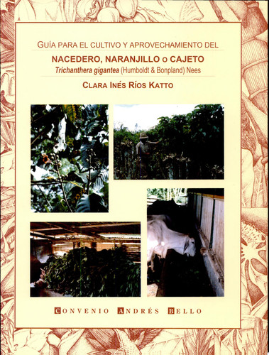 Guía para el cultivo y aprovechamiento del nacedero, naranjillo o cajeto trichanthera gigantea (Humboldt y Bonpland) Ness