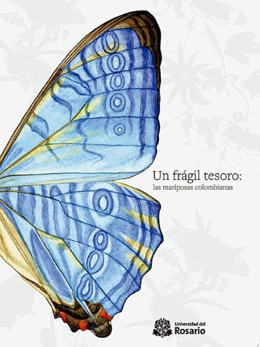 Un frágil tesoro: las mariposas colombianas