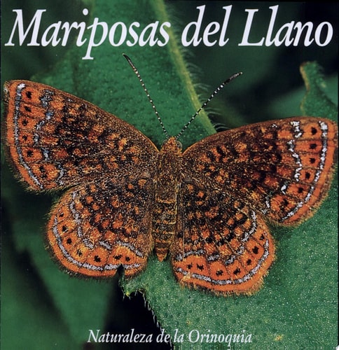Mariposas del Llano