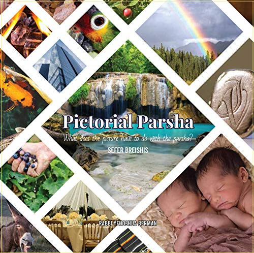 Pictorial Parsha What Does the Picture Have to Do with the Parsha? : Sefer Breishis