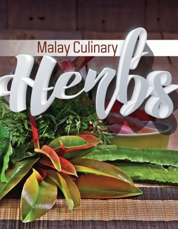 Malay Culinary Herbs