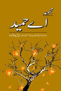 مجموعه اے حميد منزل منزل، خزاں کا گيت، کچھ ياديں کچھ آنسو، مٹّى کى مونا ليزا، بارش اور خوشبو