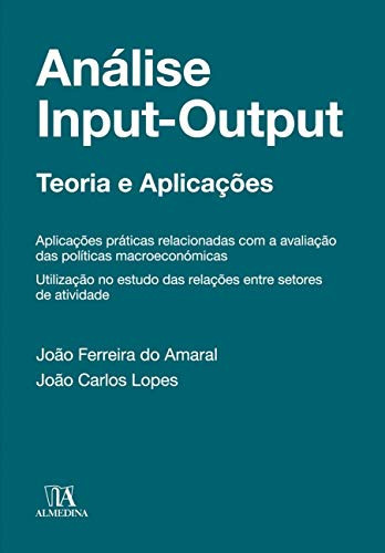 Análise input-output Teoria e Aplicações (Portuguese Edition)