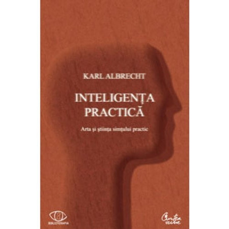 Inteligenta practica - Arta si stiinta simtului practic
