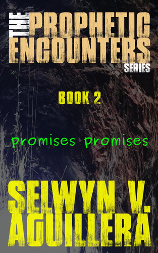 The Prophetic Encounters Series Book 2: Promises Promises