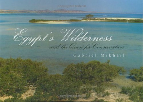 Egypt's Wilderness