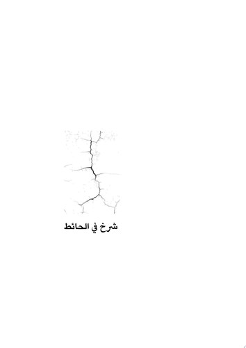 شرخ في الحائط