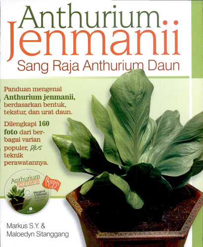 Anthurium Jenmanii - Sang Raja Anthurium Daun