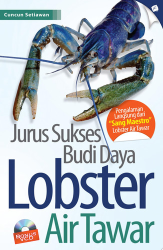 Jurus Sukses Budi Daya Lobster Air Tawar