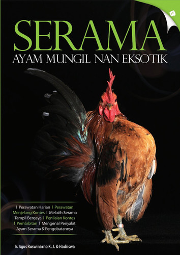 Serama Ayam Mungil Nan Eksotik