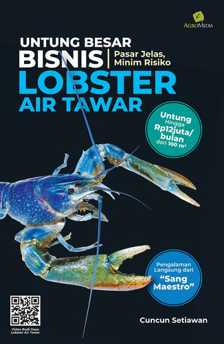 Untung Besar dari Bisnis Lobster Air Tawar