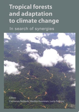Tropical forests and adaptation to climate change: in search of synergies