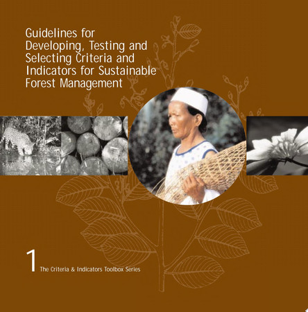 Guidelines for developing, testing and selecting criteria and indicators for sustainable forest management