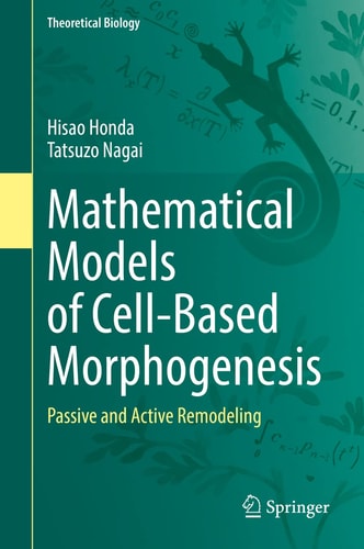 Mathematical Models of Cell-Based Morphogenesis Passive and Active Remodeling