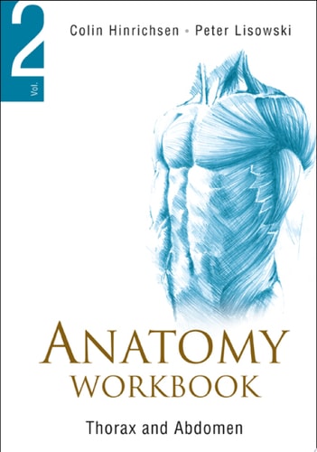 Thorax and abdomen