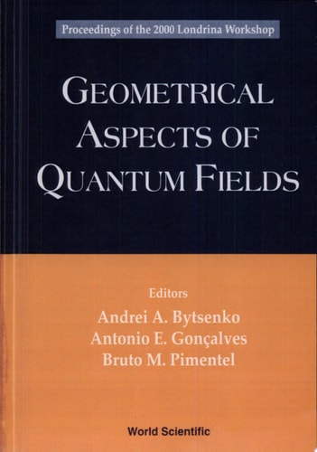 GEOMETRICAL ASPECTS OF QUANTUM FIELDS