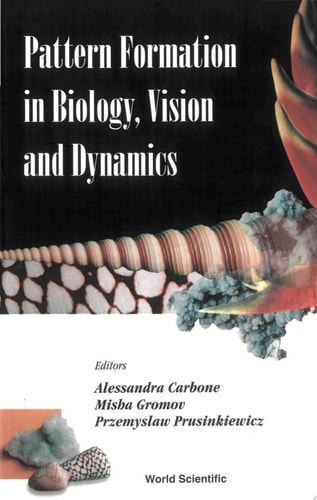 Pattern Formation In Biology, Vision And Dynamics