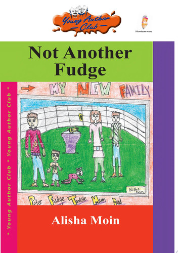 Not Another Fudge