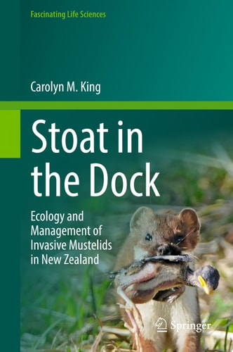 Stoat in the Dock
