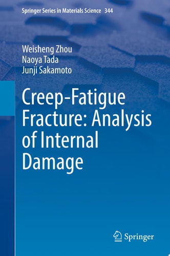 Creep-Fatigue Fracture: Analysis of Internal Damage