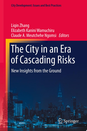 The City in an Era of Cascading Risks New Insights from the Ground