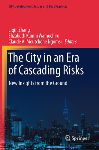 The City in an Era of Cascading Risks New Insights from the Ground