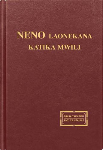 Neno Laonekana katika Mwili Toleo La 1, Kuonekana na Kazi ya Mungu