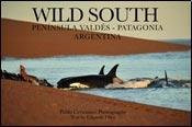 WILD SOUTH (Spanish Edition)