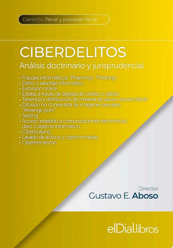 Ciberdelitos Análisis doctrinario y jurisprudencial
