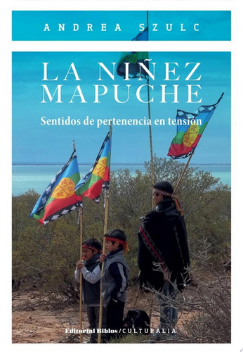 La niñez mapuche Sentidos de pertenencia en tensión