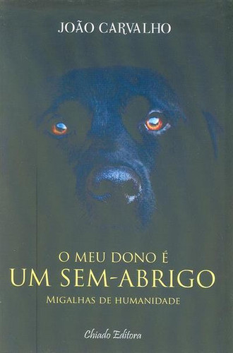 O meu dono é um sem-abrigo: migalhas de humanidade