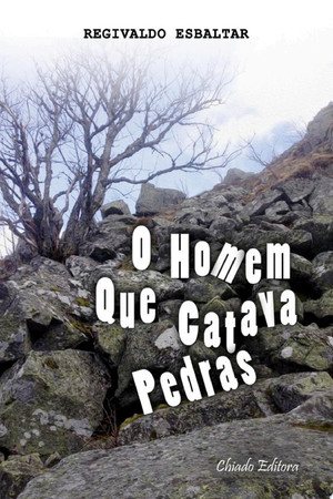 O Homem que Catava Pedras