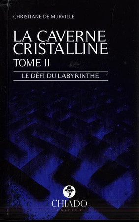 Le défi du labyrinthe