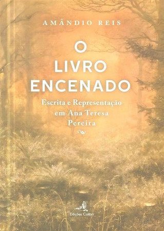 O livro encenado: escrita e representação em Ana Teresa Pereira