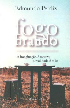 Fogo brando: contos