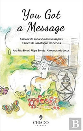 You got a message: manual de instruções num país à beira de um ataque de nervos